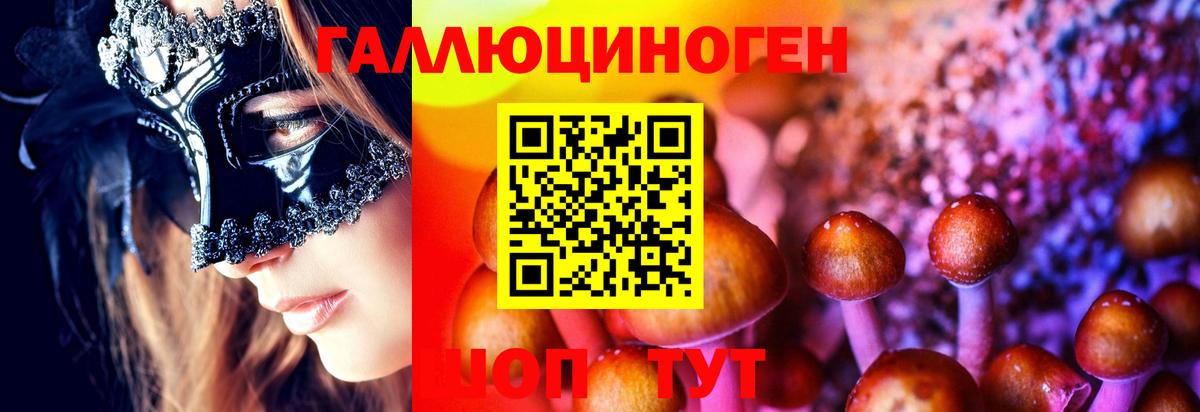 купить закладку  Галлюциногенные грибы мицелий  Вход с VPN  Анапа 